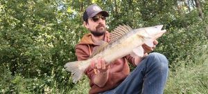 Zander