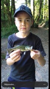 Largemouth Bass