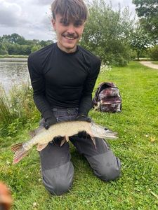 Northern Pike