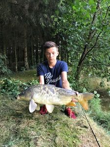 Mirror Carp