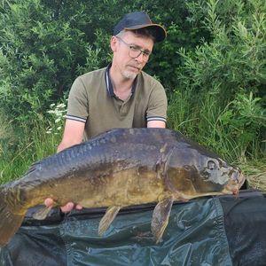 Mirror Carp