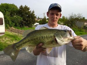 Smallmouth Bass