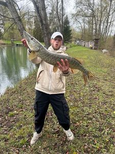 Northern Pike