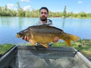 Mirror Carp