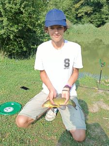 Tench