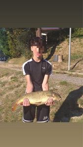 Common Carp
