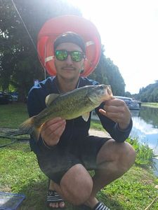 Largemouth Bass