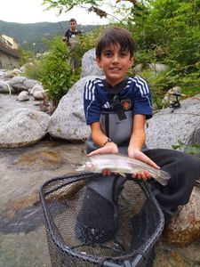 Rainbow Trout