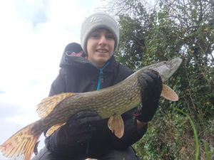 Northern Pike