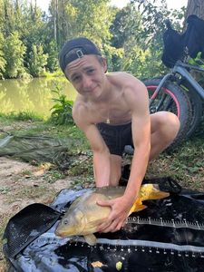 Mirror Carp