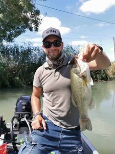 Largemouth Bass