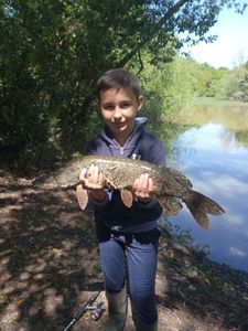 Northern Pike
