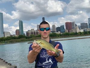 Smallmouth Bass
