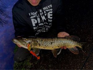 Northern Pike