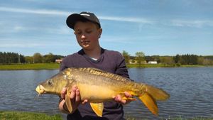 Mirror Carp