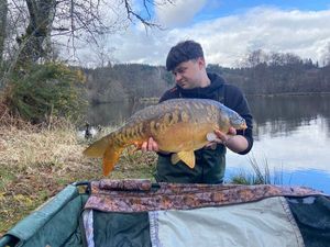 Mirror Carp