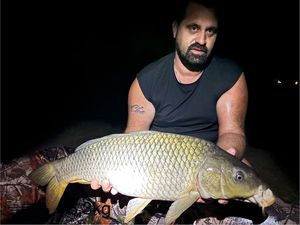 Common Carp
