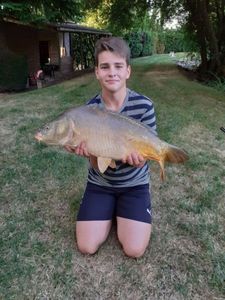 Mirror Carp