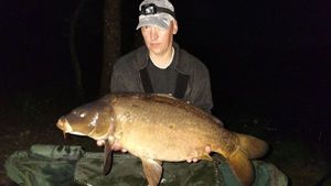 Mirror Carp