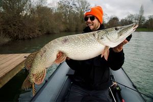 Northern Pike