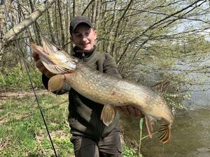 Northern Pike