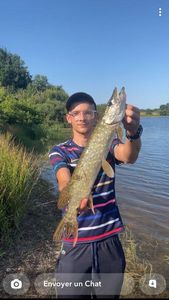 Northern Pike
