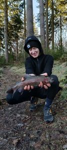 Rainbow Trout