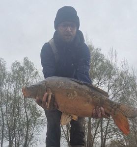 Mirror Carp