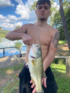 Largemouth Bass