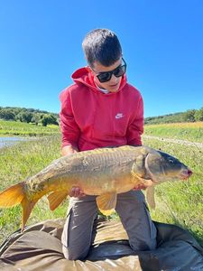 Mirror Carp
