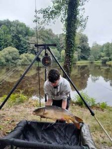 Mirror Carp