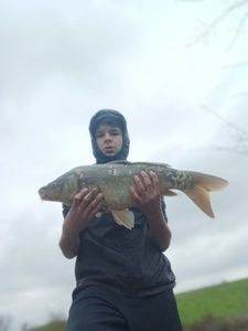 Mirror Carp