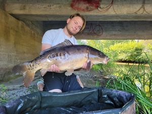 Mirror Carp