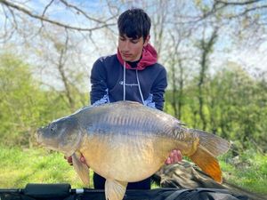 Mirror Carp