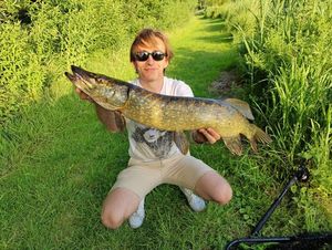 Northern Pike