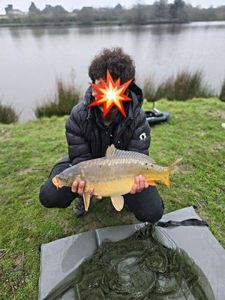 Mirror Carp