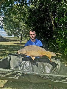 Mirror Carp