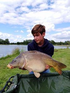 Mirror Carp