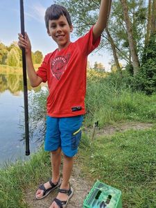 Green Sunfish