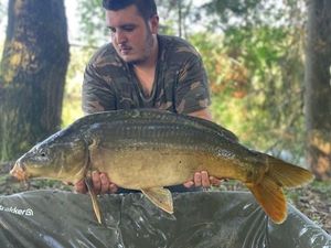 Mirror Carp