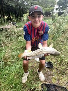 Grass Carp