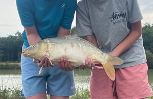 Mirror Carp