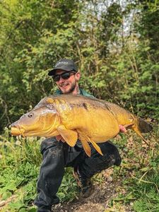 Mirror Carp