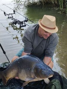 Mirror Carp