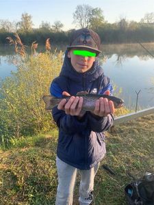 Rainbow Trout
