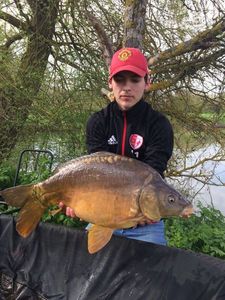 Mirror Carp