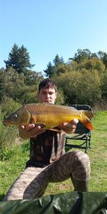 Mirror Carp
