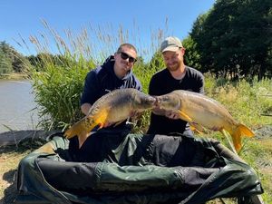 Mirror Carp