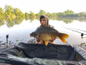Mirror Carp
