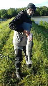 Zander
